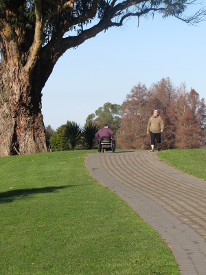 A wheelchair user navigating a park path, symbolizing daily perseverance.